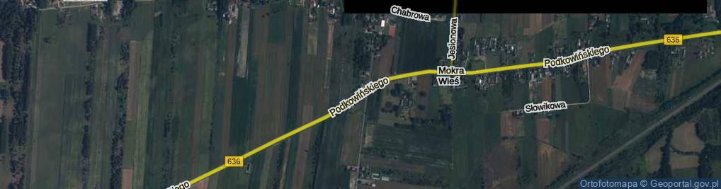 Zdjęcie satelitarne Podkowińskiego Władysława ul.